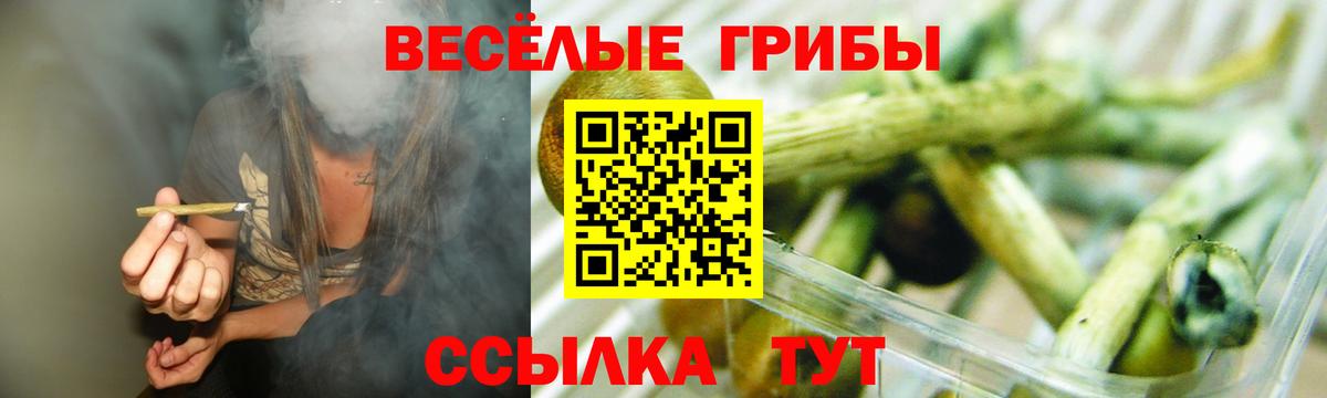 Нижний Новгород  Псилоцибиновые грибы прущие грибы  Вход с VPN 